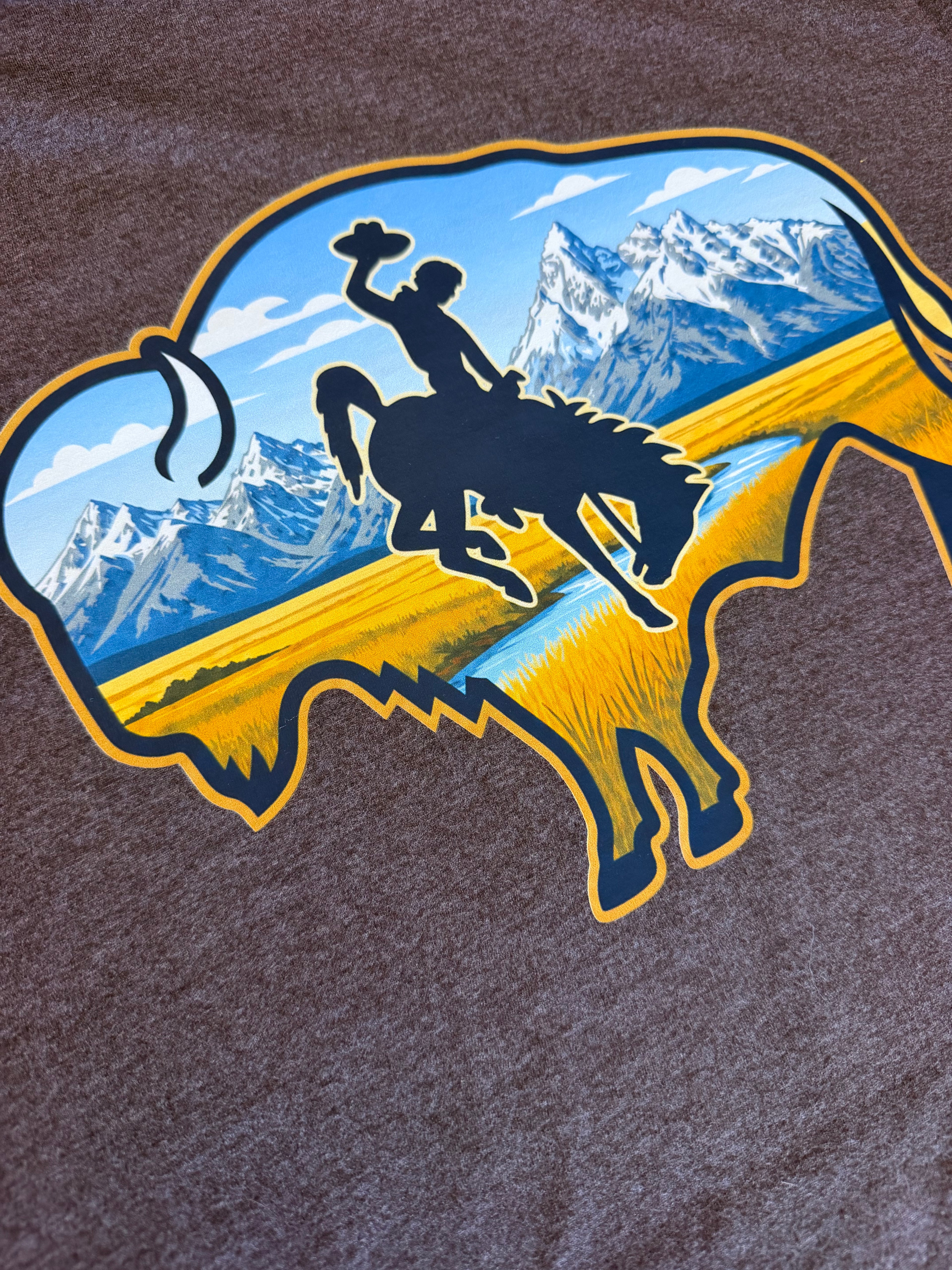 OA-Wyoming Buffalo