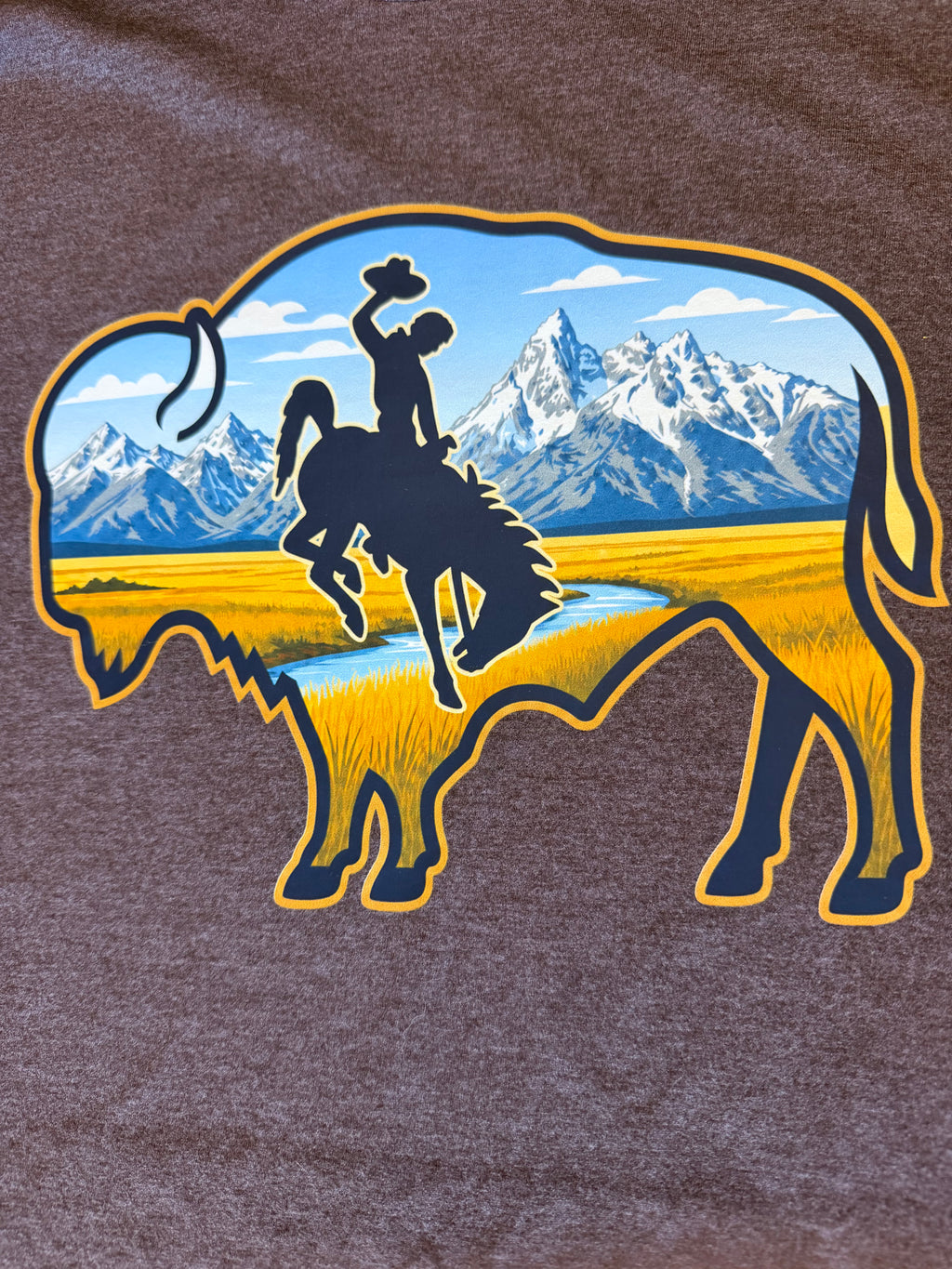 OA-Wyoming Buffalo