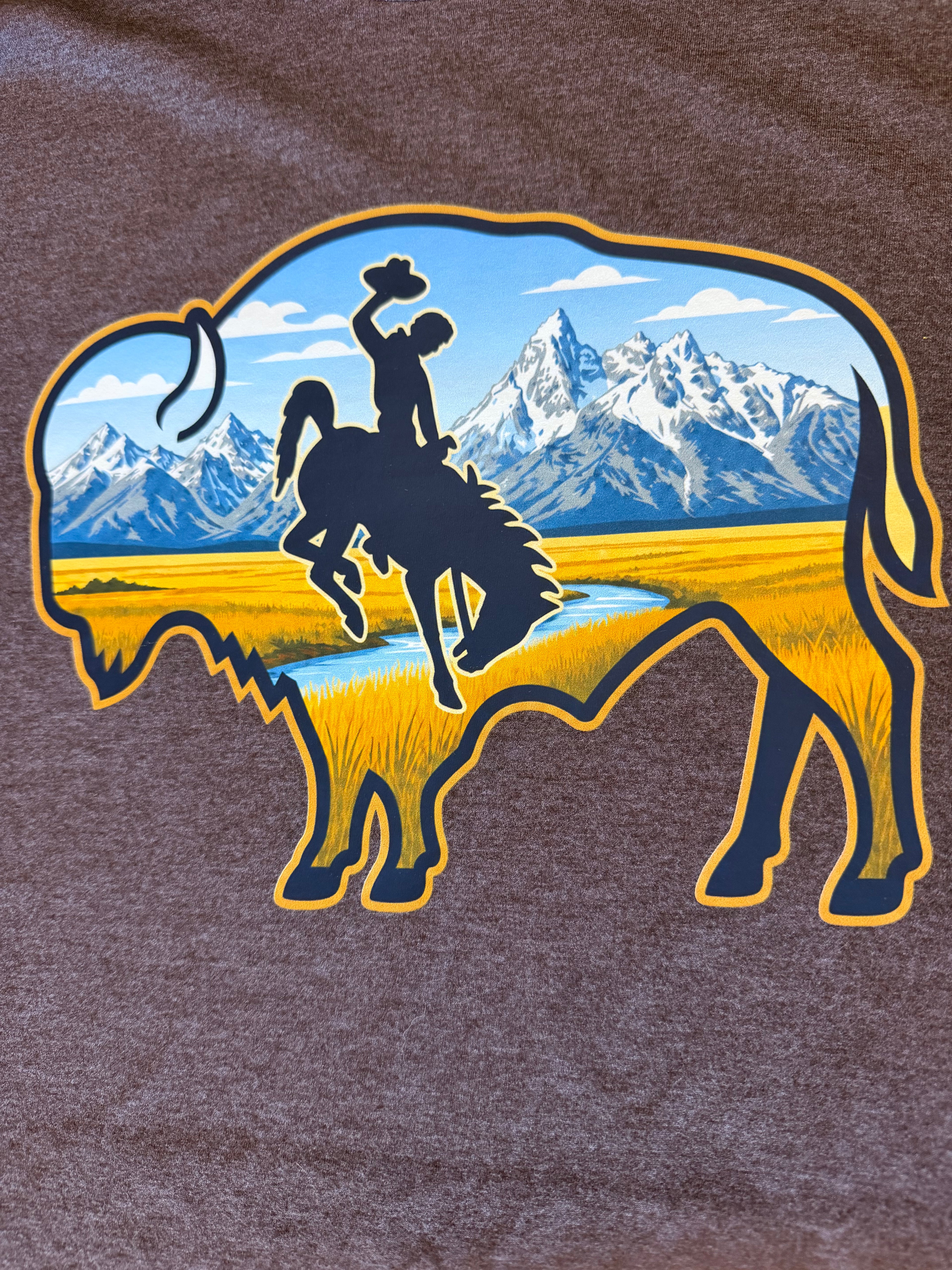 OA-Wyoming Buffalo